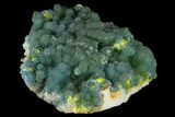 Blue-Green Plumbogummite on Pyromorphite - Yangshuo Mine, China #115500-2